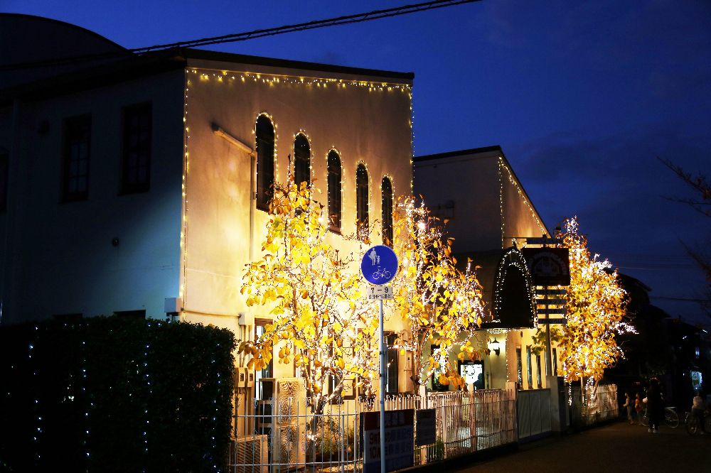 イルミネーション点灯しました